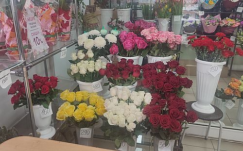 Фото пресс-службы Россельхознадзора по РХ, РТ и Кузбассу